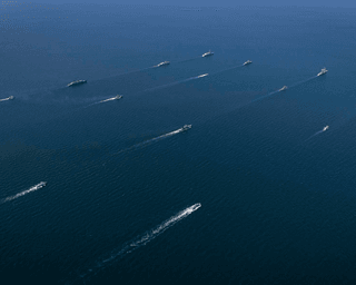 Россия вывела весь Черноморский флот в Черное море - разведка