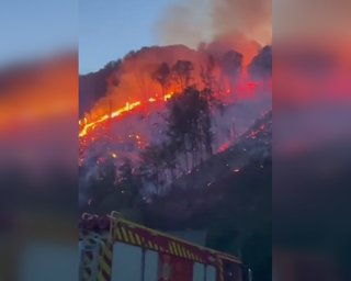 На Закарпатті масштабна пожежа: гасіння ускладнюють рельєф та брак води, — Глагола (відео)