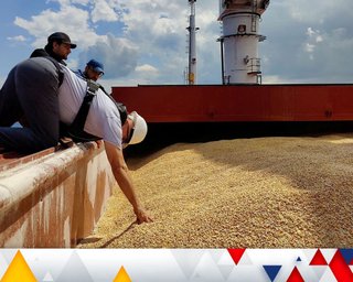 Ввезення зерна з України до Європи: Польща та ЄС домовилися про нові обмеження