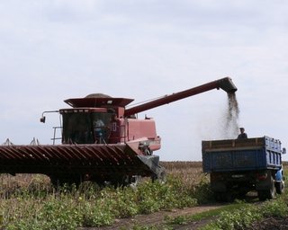 Только с лицензией: в Украине введут новые условия для экспорта агропродукции