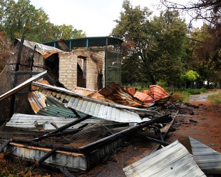 ЗС РФ атакували КАБами "Фельдман екопарк": відомо про загибель частини тварин