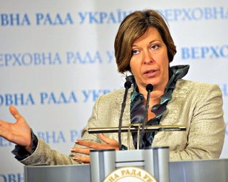 Ляпина: основания для обжалования Налогового кодекса есть