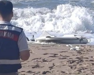 В Турции на оживленном пляже нашли с дрон с боеприпасами (видео)