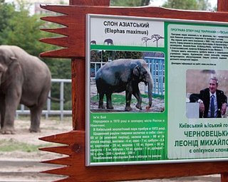 Столичные чиновники отказались кормить животных из зоопарка 