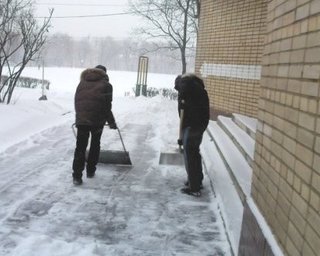 У Черновецкого говорят, что студенты сами попросились на уборку снега
