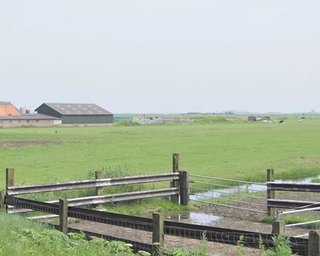 В Запорожье суд постановил, что на огороде маску можно не надевать