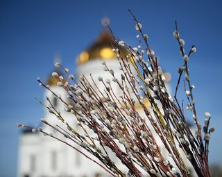 28 квітня 2024 року: Вербна неділя — що сьогодні не можна робити