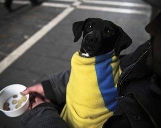 Минфин заявил о возможном урезании госбюджета