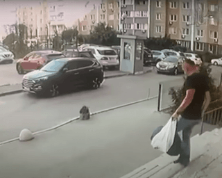 Убивство полковника СБУ: за злочином стоїть ультраправа група The Base та ФСБ, — The Guardian