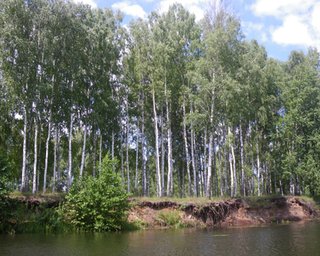 Красивая страна. Семь секретов Сиверщины