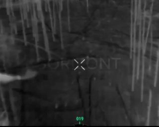 Сова збила російський дрон у Донецькій області (відео)