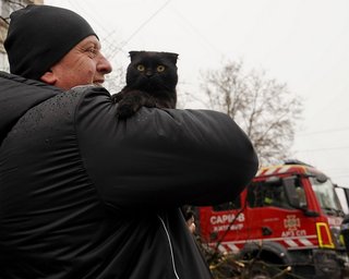 В Тернополе выросло количество спасенных из-под завалов: не только люди (фото, видео)
