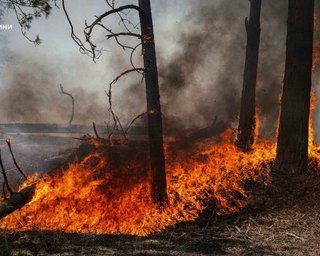 Повітря у Києві та області забруднене: що відомо про наслідки пожежі у Чорнобильській зоні