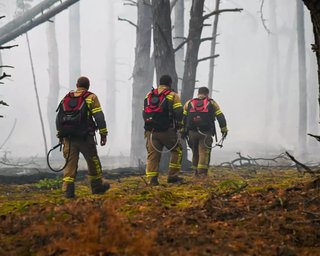 У Чорнобильській зоні відчуження знову гасять пожежу: що горить цього разу (відео)