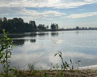 Загрязненная вода из Десны добралась до Киевской области, — Госводагентство (видео)