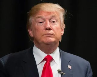 У Білому домі пояснили, чому Трамп ввів мита для пінгвінів, — CNN