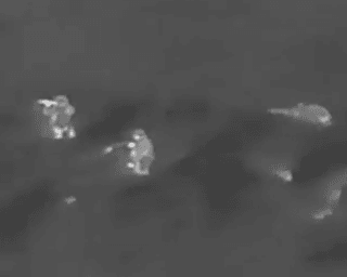 Бойцы ССО показали уникальные кадры штурма укрепрайона ВС РФ под Бахмутом (видео)