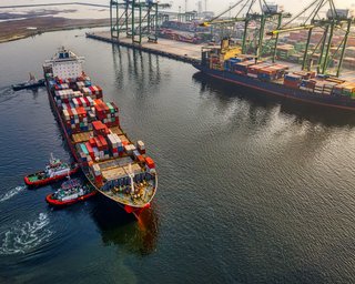Ненужное зерно: Египет отказался от поставок украинской пшеницы