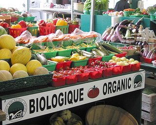 Органическую продукцию хотят сертифицировать