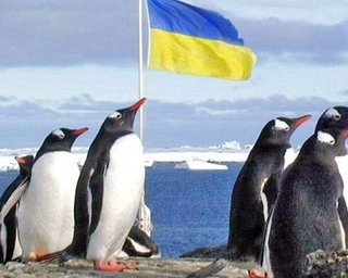 Украинцы в Антарктиде выбрали президента