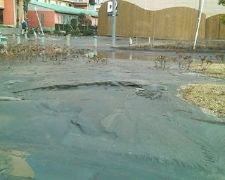 После цунами в Японии пропал пассажирский поезд