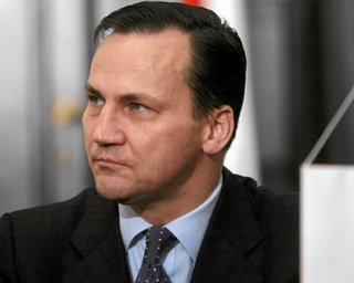 Сикорский: Переворота в Киеве нет, у Януковича есть сутки