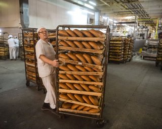 Экспорт пшеницы растет, но украинцам хлеба хватит, - Минэкономики