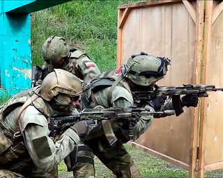 "Ситуація складна": DeepState повідомив про висадку десанту РФ біля Добропілля (карта)