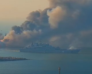 "Взрыво-фееричная обстановка": Гуменюк отреагировала на удары по БДК "Новочеркасск"