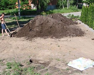 Торт для журналистов съели строители из Межигорья