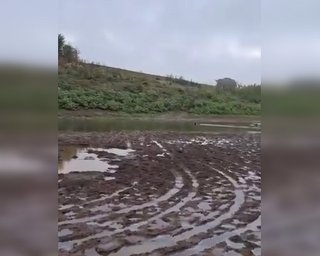 Востаннє таку посуху фіксували 70 років тому: в мережі показали, як критично обмілів Дністер