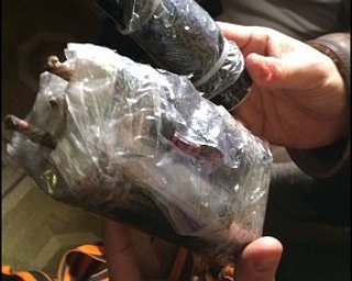В Мариинском парке у титушек отобрали петарды с гвоздями
