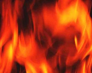 После землетрясений в Токио горят 14 промышленных предприятий