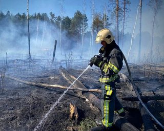 Лісова пожежа на Чернігівщині розвернулася в бік РФ: площа зросла майже вдвічі