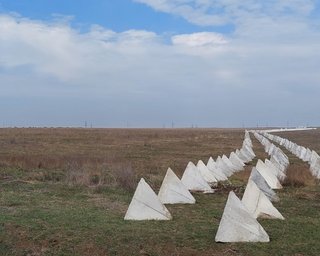 ЗС РФ продовжують будувати кілометри укріплень під час контрнаступу ЗСУ (супутникові знімки)