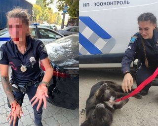 Зламаний ніс і кістки обличчя: що відомо про стан патрульної, яку побив чоловік у Дніпрі (відео)