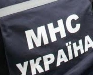 Украина поможет Японии собаками и спасателями
