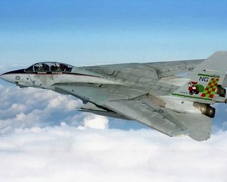 Винищувач F-14 Tomcat: лише кінозірка чи справжній герой?
