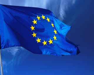 Евросоюз призвал Украину не ограничивать допуск наблюдателей на выборы