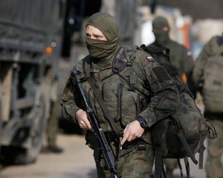 5000 пограничников, 2000 военных и 500 полицейских: Польша усиливает границу с Беларусью