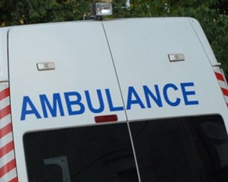 В Мексике  в результате автокатастрофы 14 человек погибли и девять получили ранения