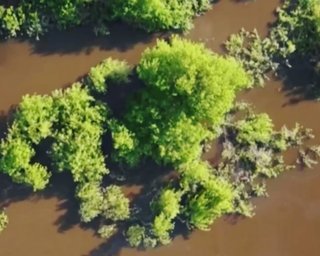 Бійці СБУ в районі Херсона "пригальмували" окупантів, які намагалися сісти у човен (відео)