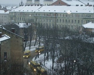 Львовский облсовет поставил Януковичу двойку за первый год