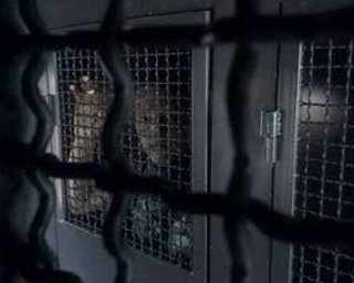 В милиции подтвердили факт задержания активистов возле Межигорья