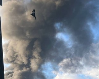 Таганрог усю ніч атакували дрони: під ударом опинився морський порт, здійнялася пожежа (відео)