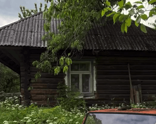 Украинец нашел в глухой деревне дома, которым более 200 лет — что он там увидел (фото)