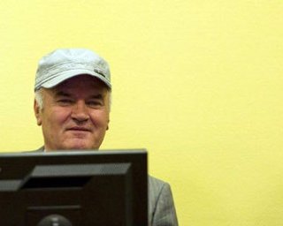 Младича выгнали из зала суда
