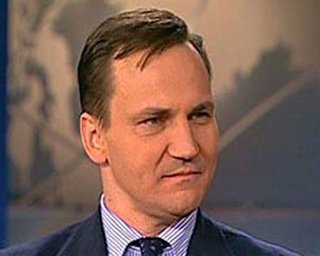 Wikileaks: Польша просила США защитить Украину от агрессии России
