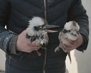 Атака ВС РФ на "Фельдман Экопарк": в сети показали масштабы разрушений (фото, видео)