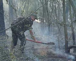 В Черниговской области горят торфяники